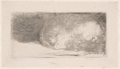 Alvó kiskutya alkotó: Rembrandt van Rijn