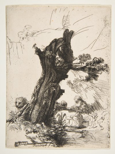 Szent Jeromos egy pollard fűz mellett, 1648. alkotó: Rembrandt van Rijn