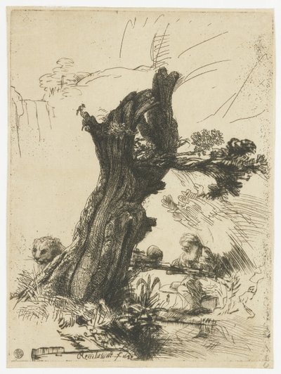 Szent Jeromos egy szárfűz mellett alkotó: Rembrandt van Rijn