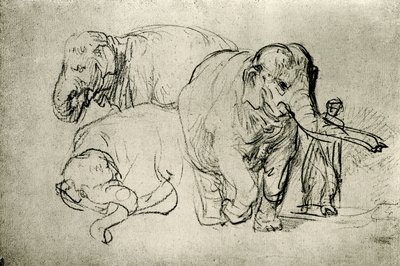 Elefántok tanulmányozása alkotó: Rembrandt van Rijn