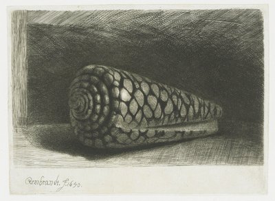 A héj alkotó: Rembrandt van Rijn