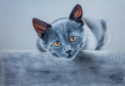 Szürke macska alkotó: Renate Dohr