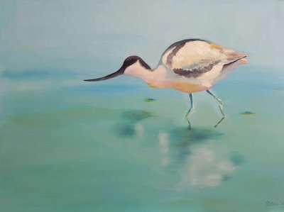 Avocets alkotó: Renate Dohr