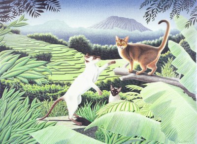 Bali, 2002, Színes ceruzarajz papírra alkotó: Rene Boin