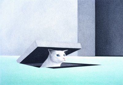 Nyílás alkotó: Rene Boin