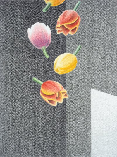 Tulipánok alkotó: Rene Boin
