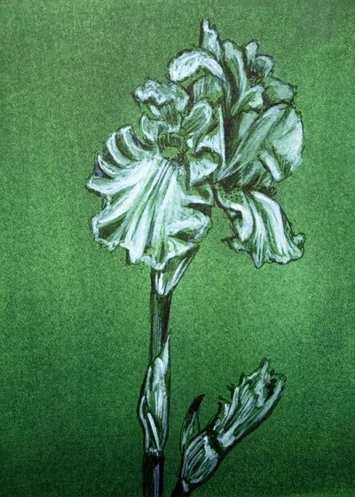 Elegáns zöld írisz alkotó: Renee Machan Cottagecore Artist