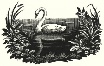 Hans Christian Andersen: A csúnya kiskacsa (litho) alkotó: Rex (after) Whistler