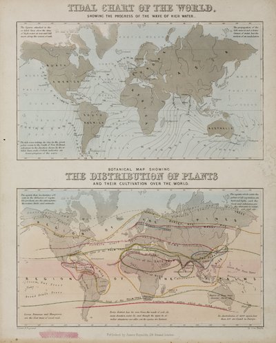 Árapály-diagram és a növények világméretű eloszlásának térképe, 1850 körül alkotó: John Pardon