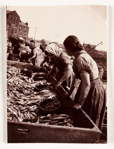 Horgászat, Fisherfolk Women halválogató, Whitby Harbour, North Yorkshire, 1905 alkotó: John Pardon