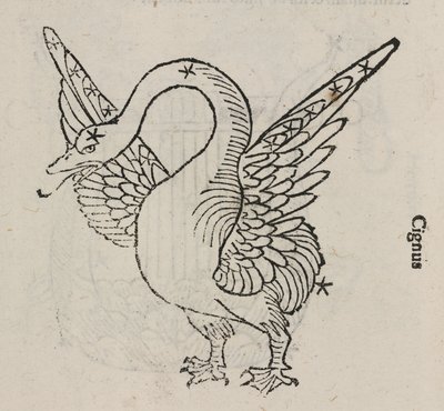 A Cygnus csillagkép alkotó: John Pardon