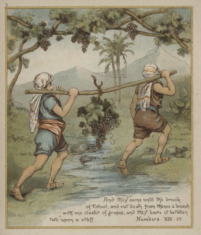 Egy szőlőfürt Eshcolból alkotó: Richard Andre