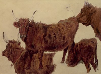 Felvidéki szarvasmarha-tanulmányok (olaj, papír) alkotó: Richard Ansdell