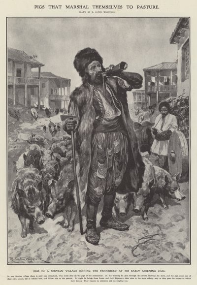Disznók, amelyek legelőre vonulnak (litho) alkotó: Richard Caton II (after) Woodville