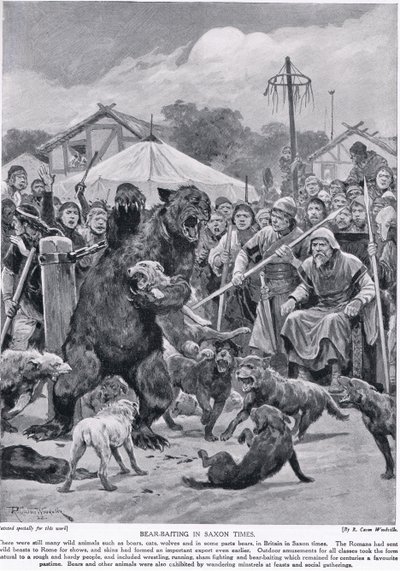 Medvecsalogatás a szász időkben, a "Hutchison
