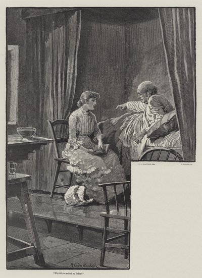 Eyre felmentése, írta Helen Mathers alkotó: Richard Caton Woodville junior