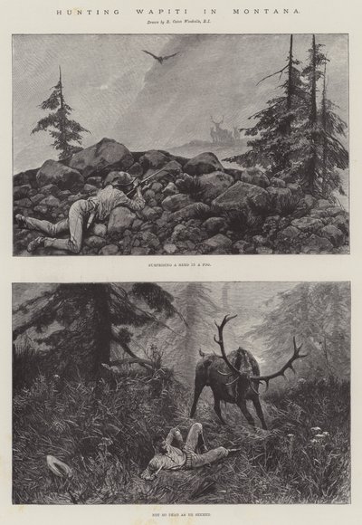 Wapiti vadászat Montanában alkotó: Richard Caton Woodville junior