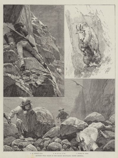 Vadkecskék vadászata a Sziklás-hegységben, Észak-Amerika alkotó: Richard Caton Woodville junior