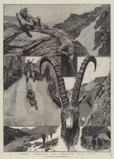 Ibex-lövészet a Himalájában metszet alkotó: Richard Caton Woodville junior