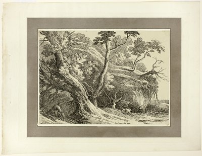 Tájkép nagy fákkal, a Specimens of Polyautography első számából alkotó: Richard Cooper II