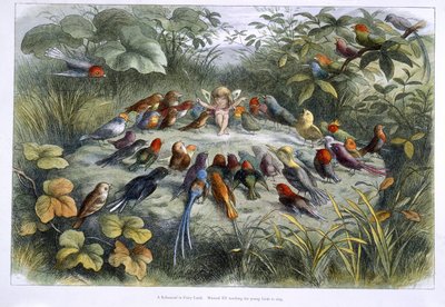 Elf és madarak alkotó: Richard Doyle