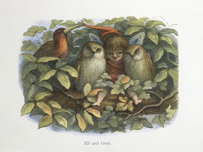 Elf és baglyok alkotó: Richard Doyle