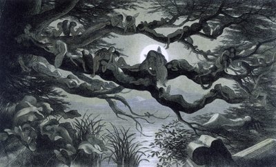 Tündérek, nimfák és manók pihennek a holdfényben egy ágon? Illusztráció: "" Tündérországban. Richard Doyle képsorozata az elf világából"" 1869-1870 The British Library Institution Hivatkozás: Shelfmark ID: 1876 e18 