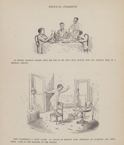 Oldal a Brown, Jones és Robinson urak amerikai körútjából (metszet) alkotó: Richard Doyle