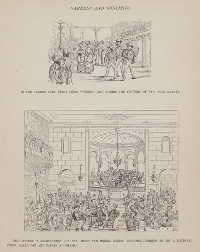 Oldal a Brown, Jones és Robinson urak amerikai körútjából (metszet) alkotó: Richard Doyle