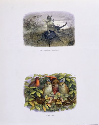 A tündérkirálynő hírnöke, valamint az Elf és a baglyok, illusztrációk William Allingham és Andrew Lang „Tündérországban: Képek sorozata az elf-világból” című művéből alkotó: Richard Doyle