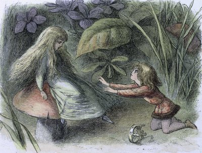 A korszak tavirózsa és vízitündérei, c1869-c1870 (kőnyomat) alkotó: Richard Doyle