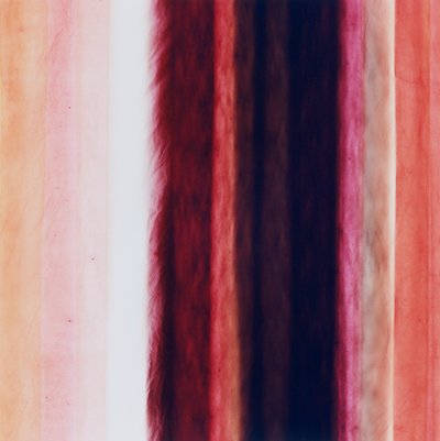 Stripe X, 2005 alkotó: Richard Green