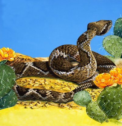 A csörgőkígyó figyelmeztetése, a "Volt egyszer egy nap"-ból (gouache, papír) alkotó: Richard Hook