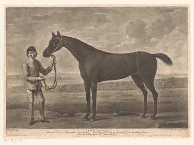 Racepaard találkozott zsokéval holland alkotó: Richard Houston