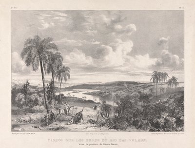 Campos sur les bords Rio das Velhas alkotó: Richard Parkes Bonington