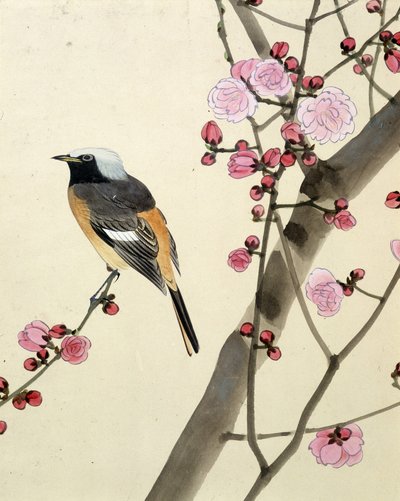 Madár – Riou Chim japán rajza, 19. század vége alkotó: Riu Chim