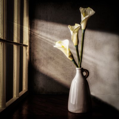 Calla liliomok ablakdísz alkotó: Rob Ryan
