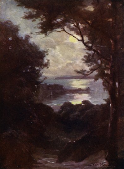 Beaumaris, Holdfény (színes litó) alkotó: Robert (after) Fowler