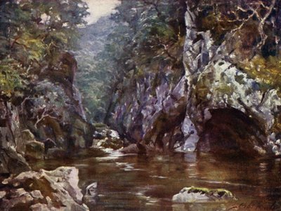 Fairy Glen, Bettws-y-Coed (színes litho) alkotó: Robert (after) Fowler