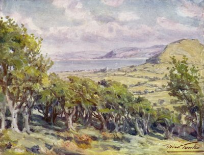 Colwyn Bay közelében (színes litho) alkotó: Robert (after) Fowler