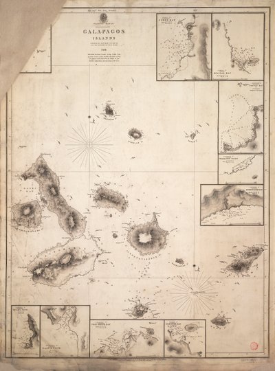 A Galápagos-szigetek térképe, amelyet a HMS "Beagle" hajóútja során mértek fel. alkotó: Robert Fitzroy