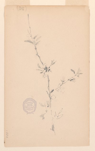Faág alkotó: Robert Frederick Blum