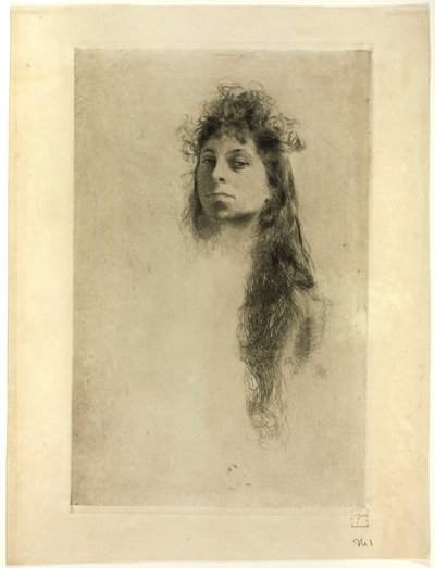 Hosszú hajú nő feje alkotó: Robert Frederick Blum
