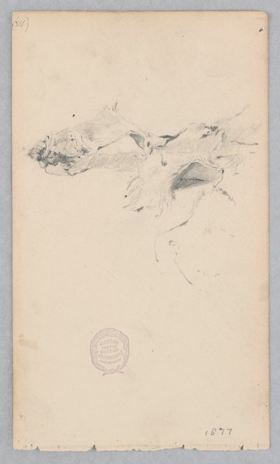 Tigrisbőr szőnyeg alkotó: Robert Frederick Blum