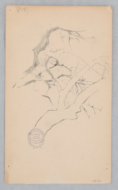 Faág alkotó: Robert Frederick Blum