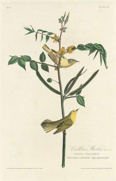 Gyermekposzáta, 1828. alkotó: Robert Havell