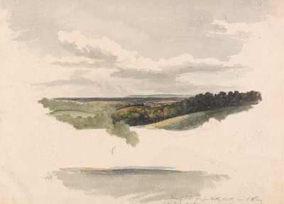 Netley Heath és Albury között alkotó: Robert Hills