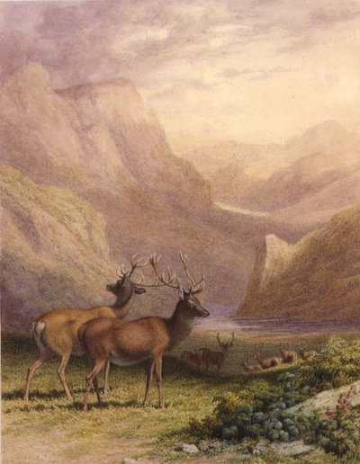 Szarvasok a Felvidéken alkotó: Robert Hills