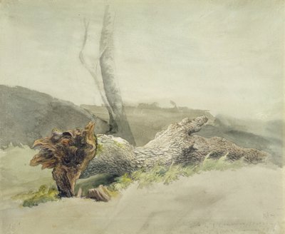 A kidőlt fa, 1804 körül (wc grafit felett, szőtt papíron) alkotó: Robert Hills