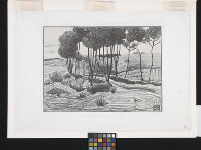 Nyárfák (litográfia) alkotó: Robert Polhill Bevan